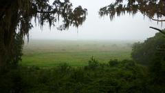 Alachua Lake overlook in