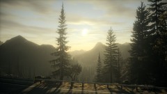 Alan wake