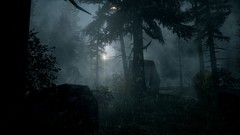 Alan wake