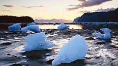 Alaska forests National