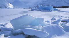 Alaska Frozen icebergs