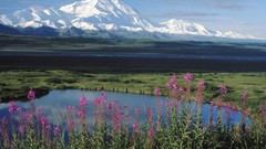 Alaska mount national park