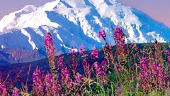 Alaska mount national park