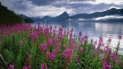 Alaska national park