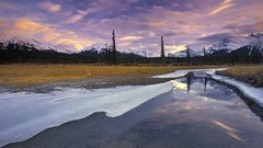 Alberta ram Range north rivers plains