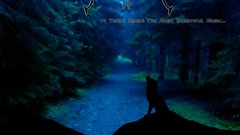 Album Cover sonata arctica