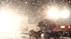 Album covers Ben Frost