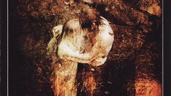 Album covers Music and