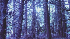 Album covers Music and