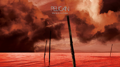 Album covers Pelicans