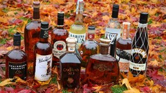 Alcohol bottles bacardi rum liquor