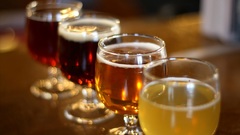 Alcohol drinks beers