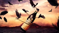 Alcohol drinks bottles fernet branca