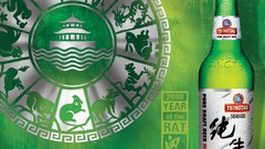 Alcohol green background bottles beers Tsingtao