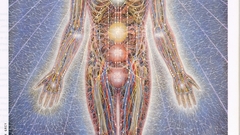 Alex Grey