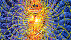 Alex Grey