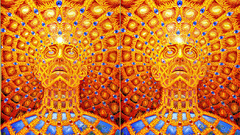 Alex Grey