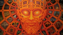 Alex Grey trippy