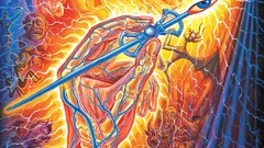 Alex Grey trippy