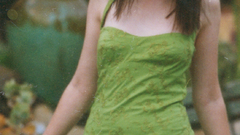 Alexis bledel Celebrity