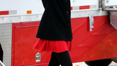 Alexis bledel Celebrity