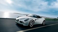 Alfa Romeo spider insect