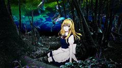 Alice in Wonderland touhou