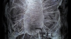 Alice madness returns