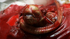 Aliencap2rev alien high Animals