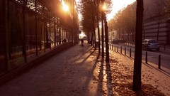 Alley avenue sunlight cities