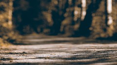 Alley roads bokeh forests