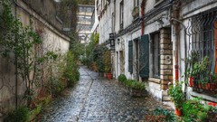 Alley streets