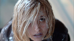 Allison mack Celebrity