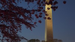 Almond washington monument