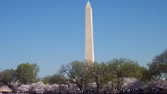 Almond washington monument