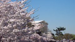Almond washington monument