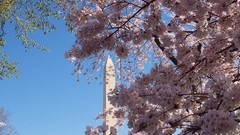 Almond washington monument