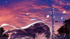 alone long hair schoolgirl anime girls