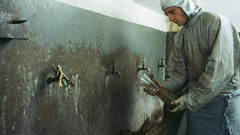 Alternative Future high