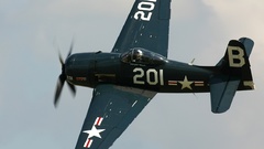 American bearcat banking plane