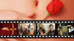 American Beauty Movie