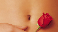 American Beauty movie posters
