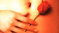 American Beauty poster Movie