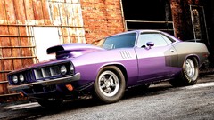 American cars purple muscle