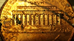 American coins Money