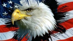 American Eagles Flags USA