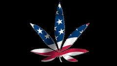 American flag weed