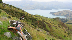 American or brit reckon