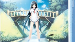 Amesarasa chiyokawa rin