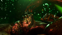 Anabiosis by alexiuss high